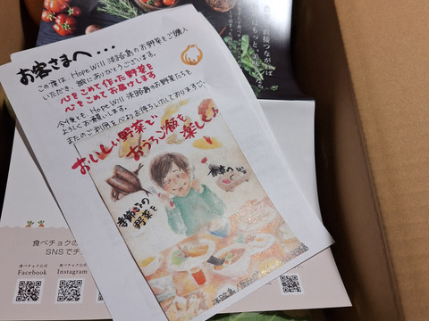 淡路島からのカリフラワー5つ　特別栽培農産物