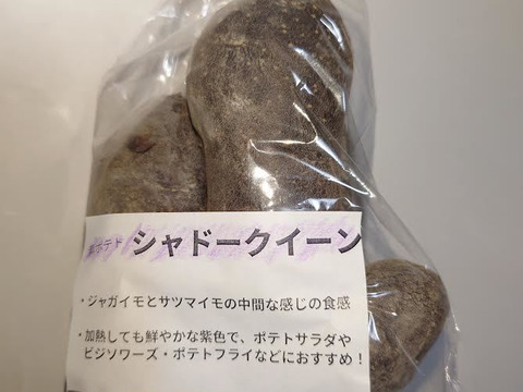 彩り2種！！旬のジャガイモセット（合計１Kg）