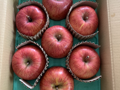 【蜜入保証】【サンふじ】（2kg・9～10個入り）パリパリ・ジューシーお得な家庭用