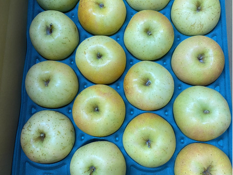 今が旬！特別栽培りんご「トキ（黄りんご）」Ａ品・5㎏