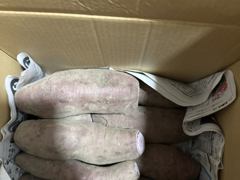 3kg⭐️訳あり⭐️紫芋⭐️パープルスイートロード