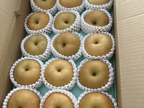 秋は南水梨で間違いナシ！！ 南水 梨 （5kg）