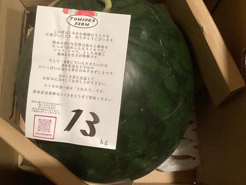 【今季最終‼︎】黒皮黄色の大玉スイカ ムーンフラッシュ1玉