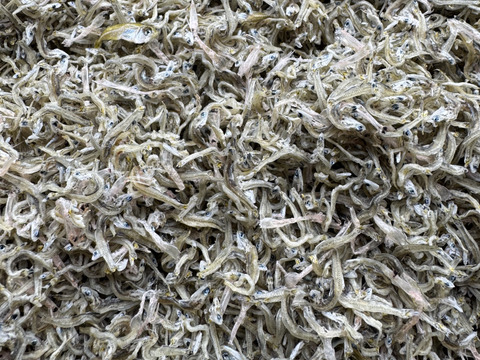 倉橋ちりめん　１５０ｇ
