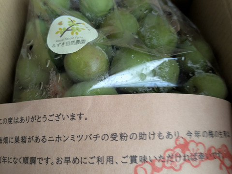 白加賀＆月世界/青梅 自然栽培 農薬・除草剤、化学・動物性肥料不使用