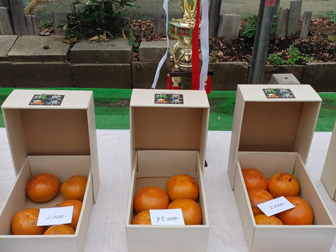 春子様専用】太秋柿 4キロ箱 10個入 3箱