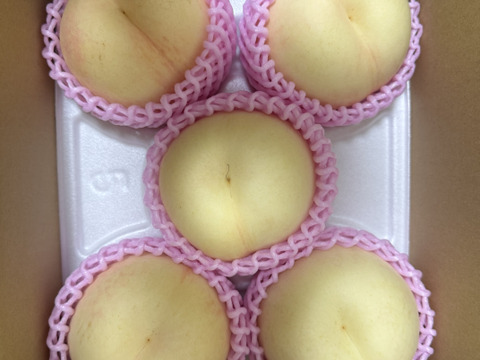 2026年予約】硬くて甘い桃『シーエックス』糖度13度以上！ 1.5kg（4-6