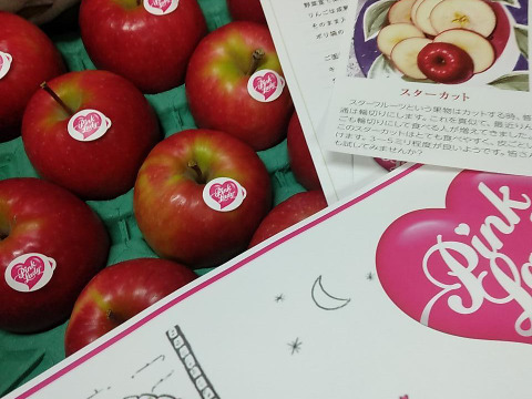 キュンとくる酸味りんご❗　ピンクレディー®（12個から16個）箱含め3キロ