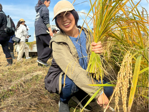 【酒米の王様　山田錦を食卓へ】化学肥料・農薬不使用 もちもち食感　精米5kg