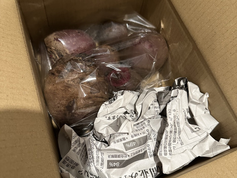 訳あり品【農薬・化学肥料不使用】MOA自然農法で育ったビーツ　1kg