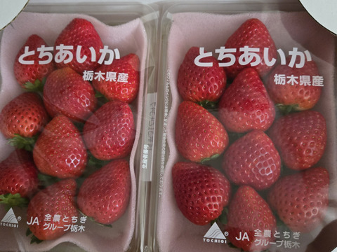 【送料無料/新品】 とちあいか』フレーズのこだわりいちご260g×4パック：栃木県産の 焼酎