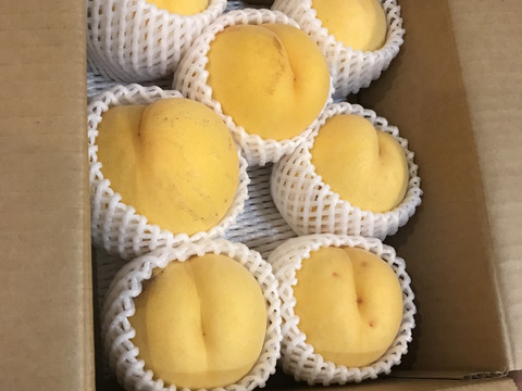 【超訳あり家庭用☆品種おまかせ】桃2kg