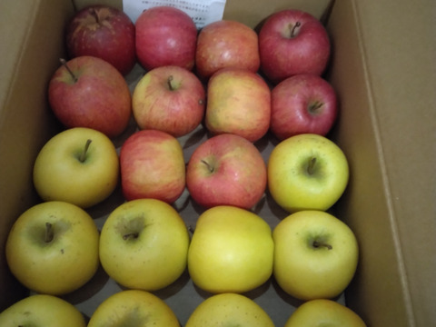 【極小玉・バラ詰め】サンふじ＆シナノゴールド🍎💛家庭用約3Kg🍎💛ハーフセット　毎日りんご　コスパ抜群　青森県産　数量限定