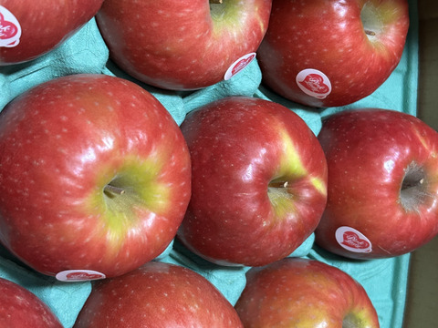 年内予約終わります🍎 ピンクレディ®︎3キロ箱  長野県 信州 安曇野 リンゴ 幻 幻のリンゴ 予約 希少 旬 6玉〜16玉サイズ 商品ID42100 ピンクレディー