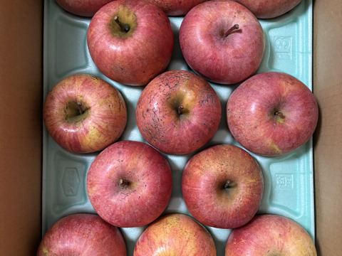 サンふじ(おうち用)3kg「見た目いまいち、味で勝負!!」