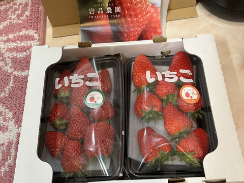 朝採り完熟いちご！！静岡県の新品種『きらぴ香』1パック、『紅ほっぺ』1パック食べ比べセット　260×2パック　【いちご食べ比べ】