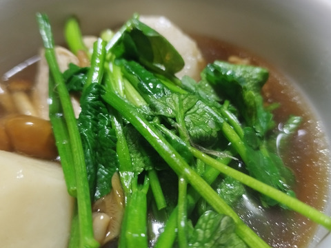 清流の恵み　宮城県蔵王町産セリ700g   蔵王セリ