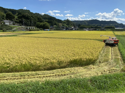 農薬・化学肥料不使用　南信州のこしひかり《精米》10キロ　令和7年産
(分づき対応可)