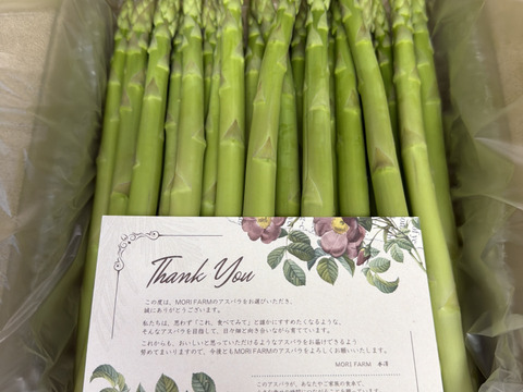 【緑の宝石】【極太1kg】那須塩原産アスパラ｜じゅわっと感じる奥深い甘み！｜2Lサイズ｜【父の日ギフト】にも✨