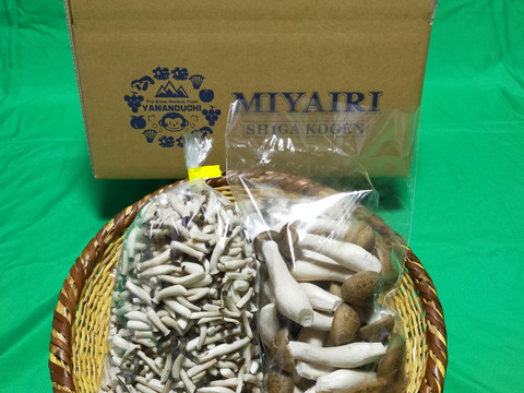 朝採り ２箱セット ぶなしめじバラエティーパック 長野県産 食べチョク 農家 漁師の産直ネット通販 旬の食材を生産者直送