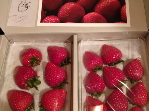 ※今シーズン即完売・来年度予約分※【いちごグランプリ2026最高金賞】完熟あまりん！数量限定！順次発送！！