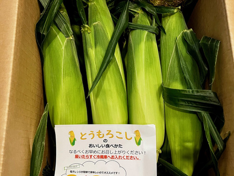 【感謝価格】おおもの3kg　糖度20度前後にもなる激甘スーパースイートコーン！！