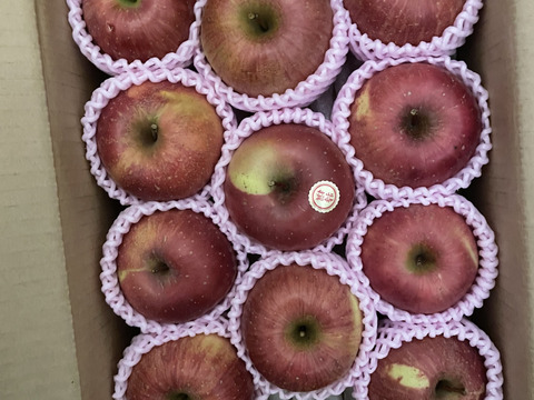 蜜入りりんごの代表格 サンふじ🍎 3キロ (9〜12玉)  ギフト 予約 りんご 農薬節減 さんふじ【11月上旬〜】