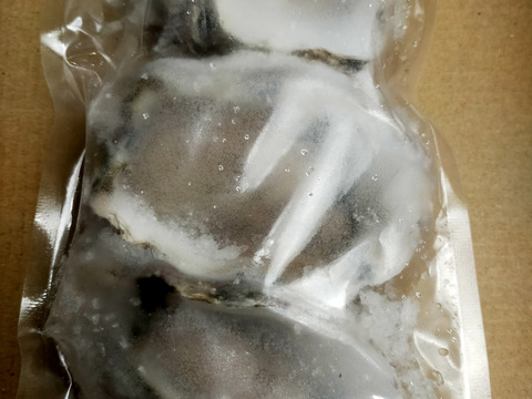 【お得・便利】広島県産牡蠣＆車海老の贅沢なお試しセット！瞬間凍結冷凍で生食OK