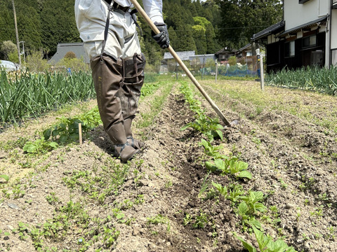 新じゃが食べ比べ❣️きたあかり、キタカムイ、メークイン約700g✖️3種で約2kgのセットで。