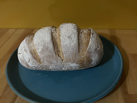 【希少種】挽立て全粒粉！３種食べ比べ！バケッド２本　プチバケット食事パン４個