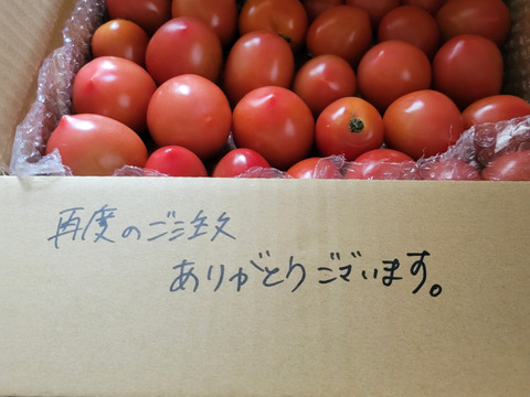 【自然栽培】今季もうすぐ終了！中玉トマト🍅✨M（1.5㎏）