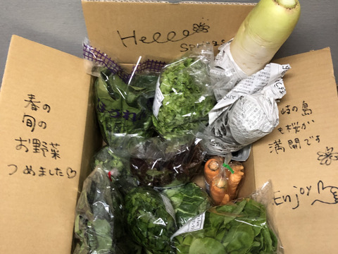 【有機JAS認証取得】🌱安心島の旬の野菜4〜6種類セット🥬🥕🥦✨🌱Organic Vegetables set