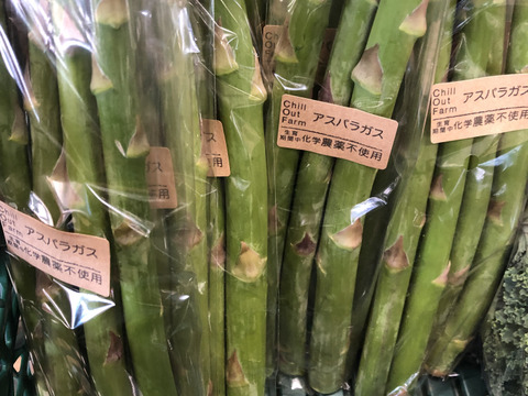 【春芽】味と食感にこだわった\有機農家の作る！露地栽培のみずみずしく柔らかいアスパラガス800g/
