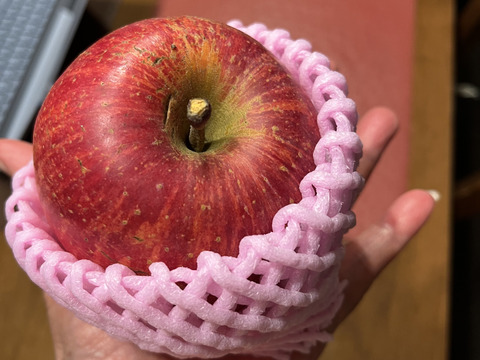 蜜入りりんごの代表格 サンふじ🍎 2キロ (6〜9玉)  ギフト 予約 りんご 農薬節減 さんふじ【11月上旬〜】