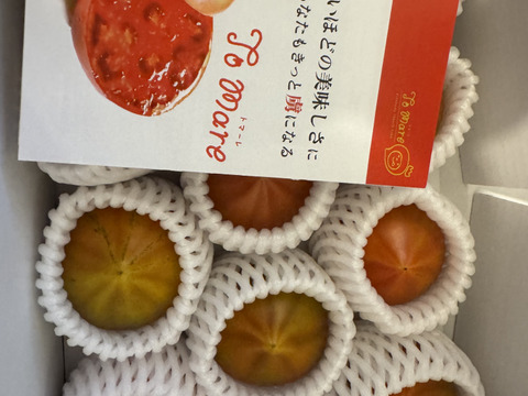 【2箱】弾ける旨味・甘み！【ト・マーレ】禁断の濃密さ 800g×２