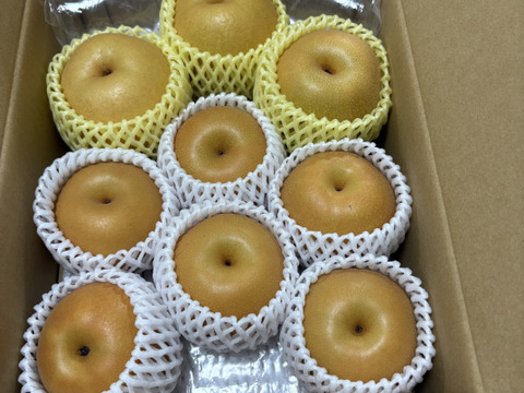 あま〜い梨が好き！高糖度品種！南水・新王 詰め合わせ約3kg