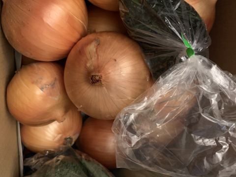 大好評，地層が違う淡路島、大玉ターザン(風袋込み5キロ)