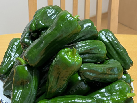 『淡路島五色産さららピーマン約1ｋｇ』ビタミンたっぷり！肉厚、美味！採りたて発送