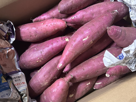 2024年12月品評会の全さつまいもで1番の賞を受賞‼︎ さつまいも（紅はるか）【新物】Mサイズ　5kg