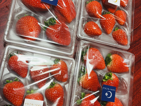【1kg:4ケース】朝採れとちあいか　いちご生産量日本一の街からお届けします★