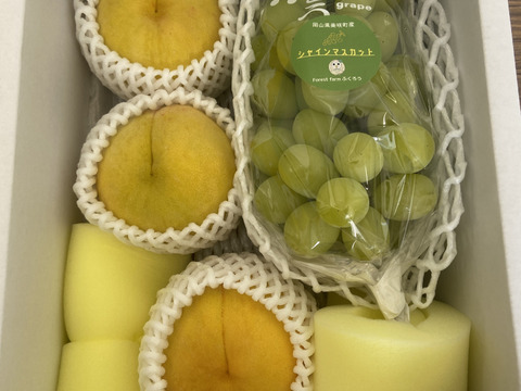 シャインマスカット×黄金桃