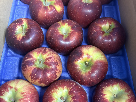 訳あり 秋映 小～中玉サイズ 3キロ箱12～13玉 長野県産