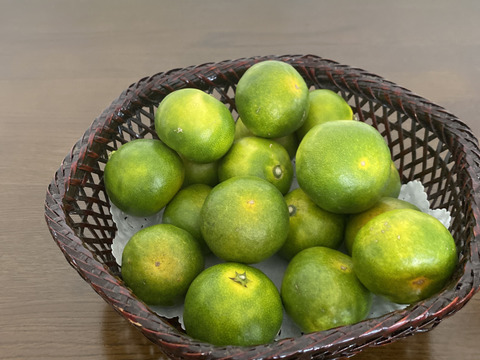 有田みかん【完熟ゆら早生】3.3kg（箱込）