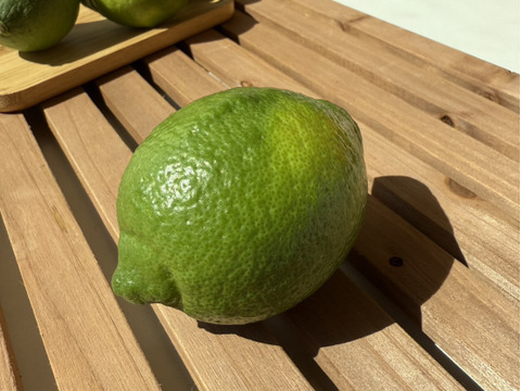 香り際立つ えひめ農園のグリーンレモン 約2.7kg（ワックス・防かび剤不使用・皮まで活用可）／送料別・数量限定