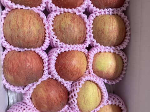 まるせい果樹園のサンふじ　贈答用　家庭用　自家用　小玉　約3キロ rfk