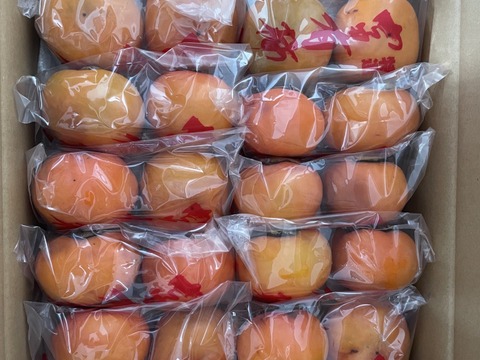 富有柿 　わけあり・家庭用　約5kg(18～28個）