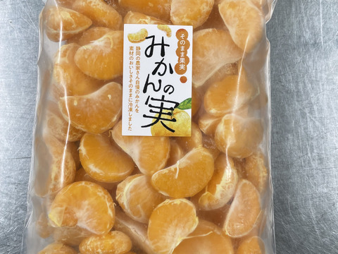 ひんやり爽やか！贅沢冷凍粒みかん🍊1㎏(500g×2袋）本州の方限定