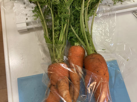 農薬・化学肥料不使用 - 野菜の苦みがない！旬の野菜セット(約10点)