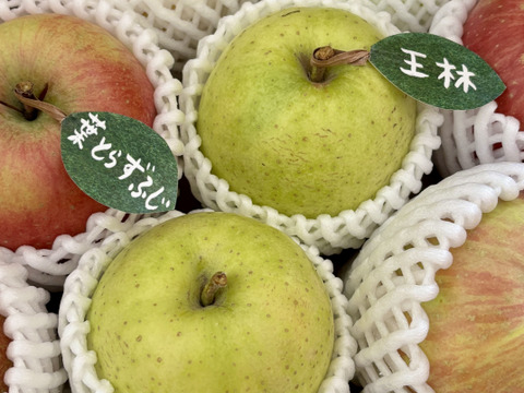★★新春セール★★【冬ギフト】【食べ比べ】 🍎大人気🍏葉とらずふじ・王林  計８～1２玉
詰め合わせ3キロ箱 ミックス ID118320