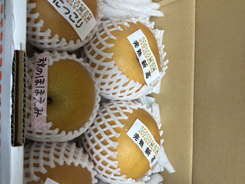 【旬の梨食べ比べ‼️3～5品種】何が届くかお楽しみ😋贈答用2.5kg以上、豊水・あきづき・かおり・あきあかり・二十世紀・南水・にっこり・新高・王秋・新興・愛宕の中から3品種以上詰め合わせます‼️